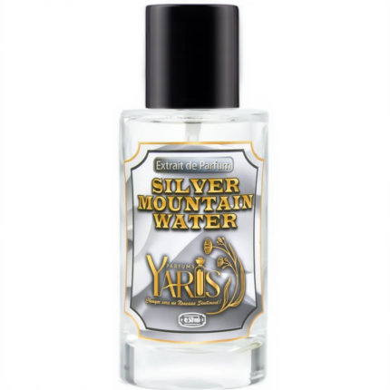 Silver Mountain Water